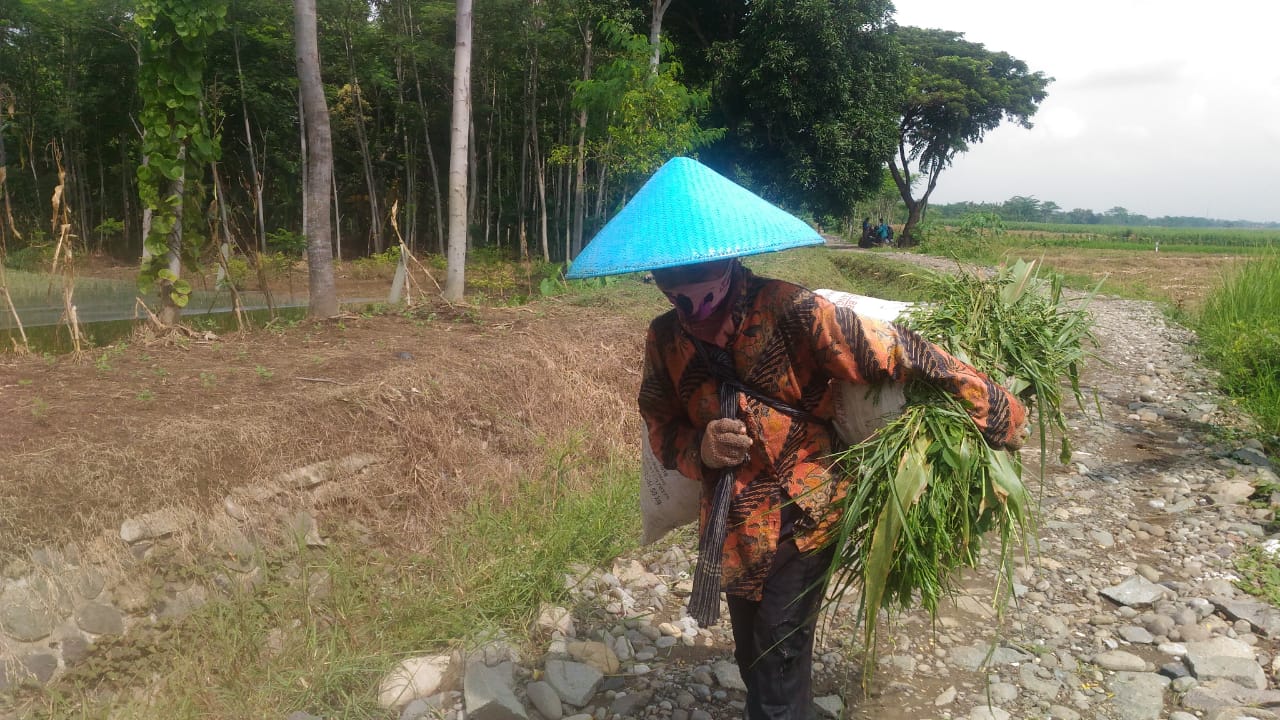 WhatsApp Image 2019-02-21 at 11.24.49