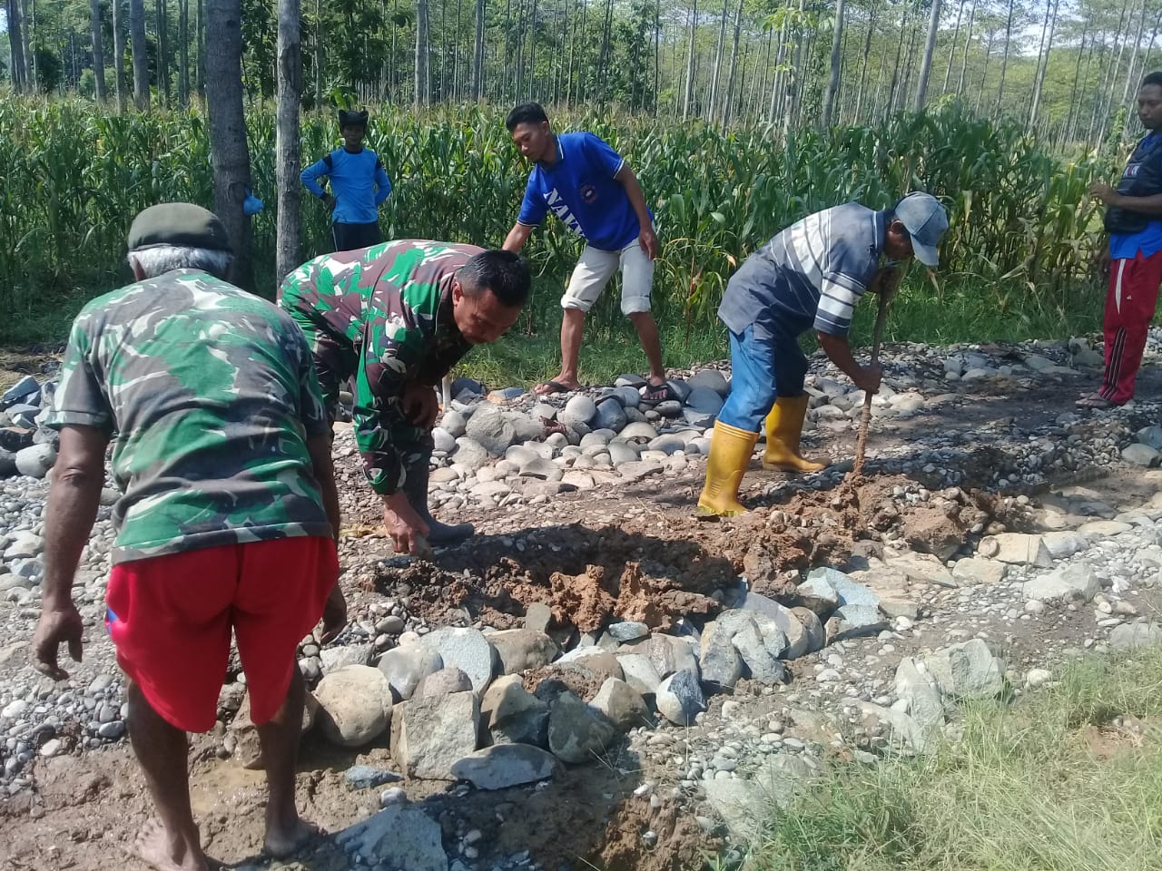 WhatsApp Image 2019-02-21 at 11.27.28