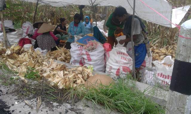 WhatsApp Image 2019-02-21 at 13.20.21