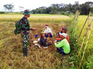 WhatsApp Image 2019-03-18 at 10.06.57