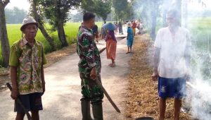 WhatsApp Image 2020-03-15 at 16.01.00(1)