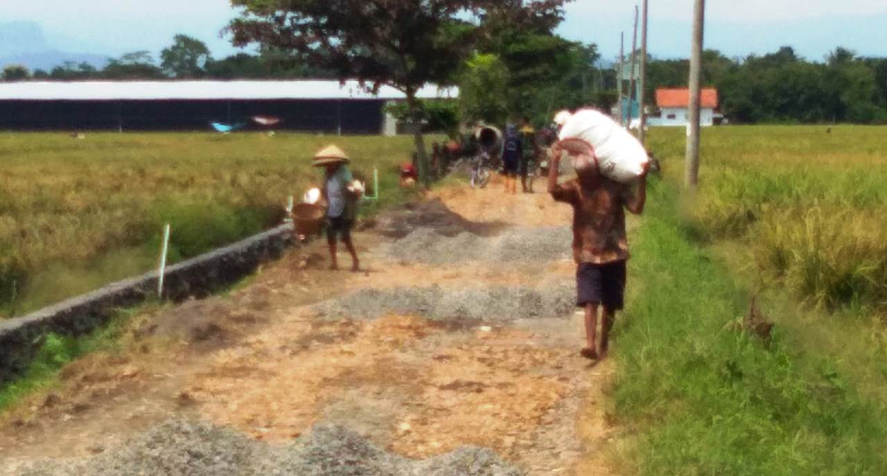 WhatsApp Image 2020-03-29 at 16.34.14(1)