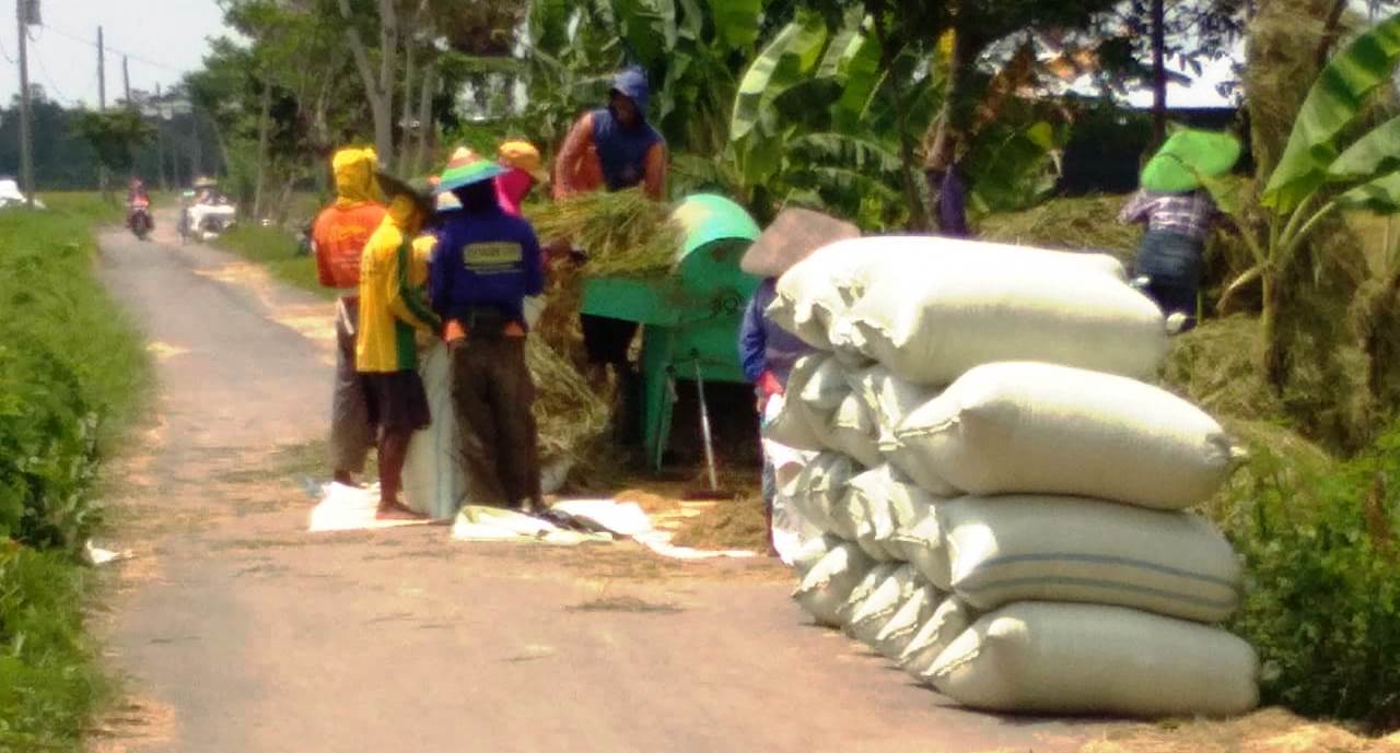 WhatsApp Image 2020-03-29 at 16.36.46(3)