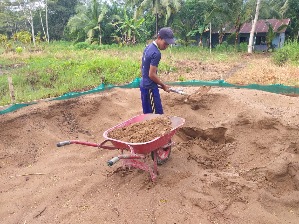 WhatsApp Image 2020-03-31 at 12.18.06