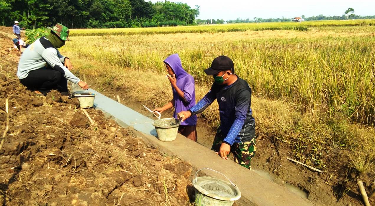 WhatsApp Image 2020-04-01 at 09.03.43(2)