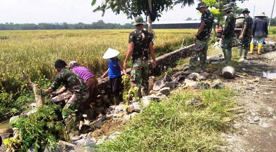 WhatsApp Image 2020-04-01 at 16.53.12(1)