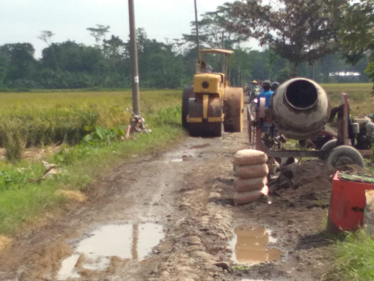 WhatsApp Image 2020-04-01 at 16.53.17(2)