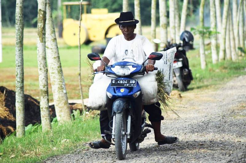 WhatsApp Image 2020-04-05 at 06.55.15(1)