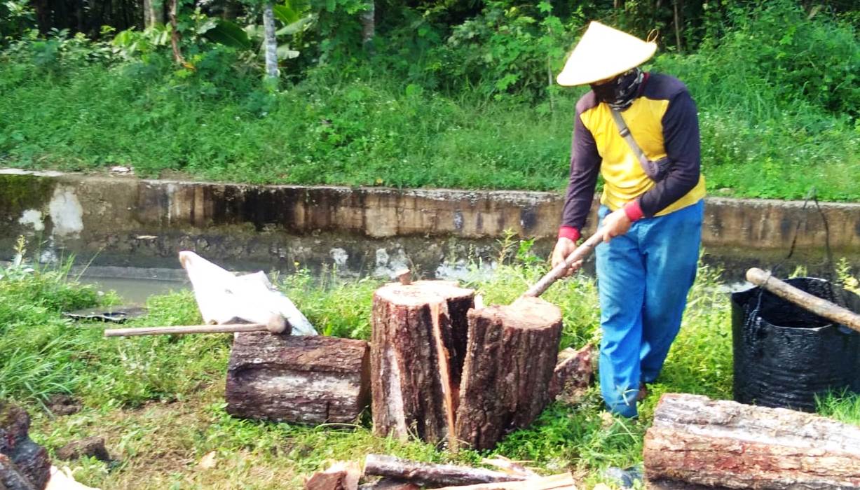 WhatsApp Image 2020-04-05 at 16.14.31