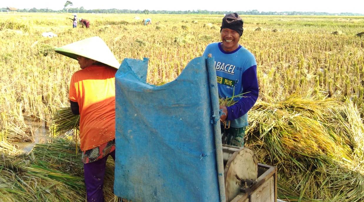 WhatsApp Image 2020-04-05 at 16.14.35