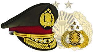 Topi-polisi