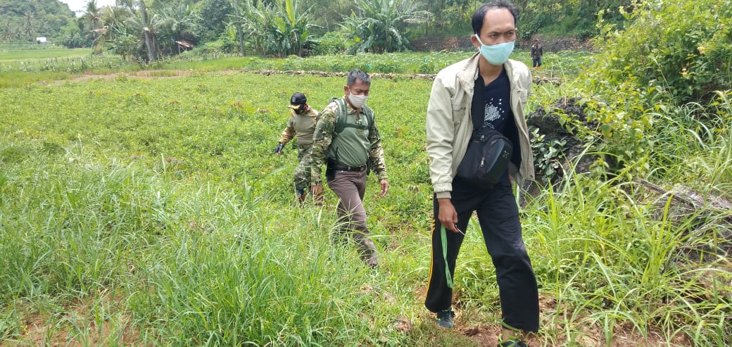 WhatsApp Image 2021-01-10 at 16.25.12