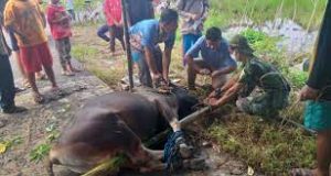 WhatsApp Image 2021-03-24 at 06.24.08