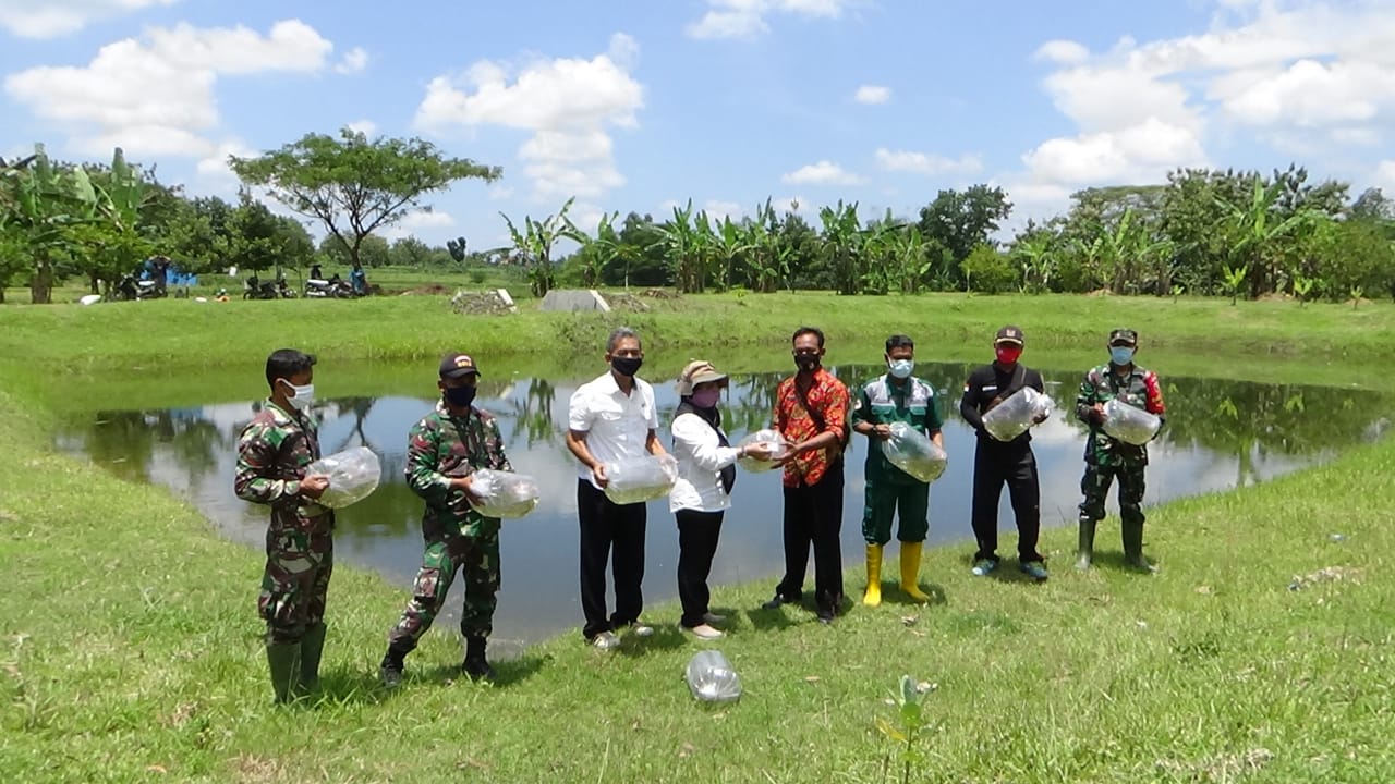 WhatsApp Image 2021-03-26 at 09.23.14