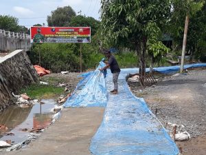 WhatsApp Image 2021-04-03 at 17.15.10