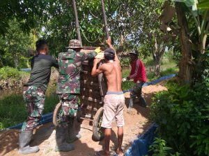 WhatsApp Image 2021-04-03 at 17.15.24