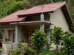 WhatsApp Image 2022-11-03 at 16.59.40