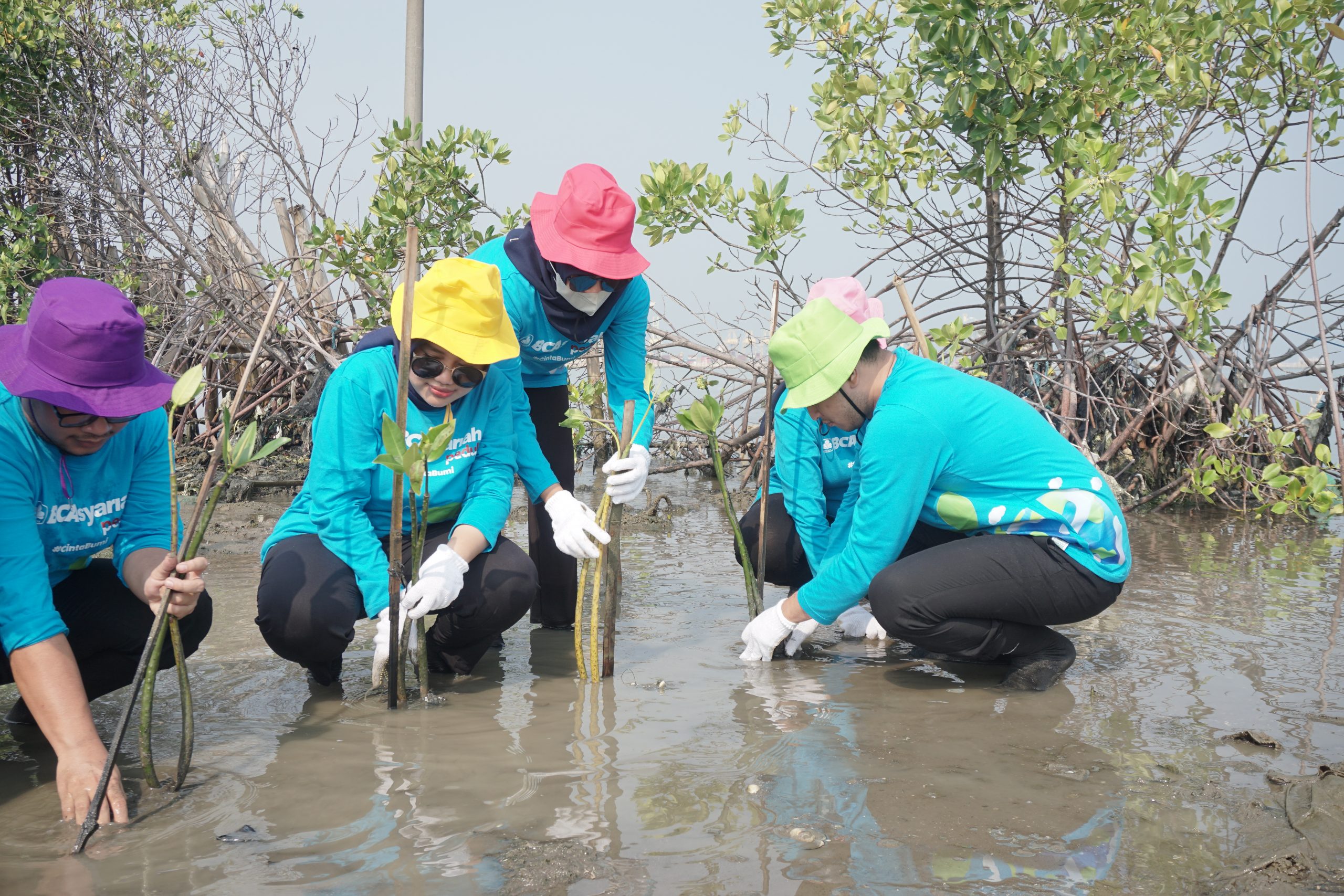 Penanaman pohon mangrove oleh rekan-rekan PT Bank BCA Syariah. (Dokumentasi: LindungiHutan).