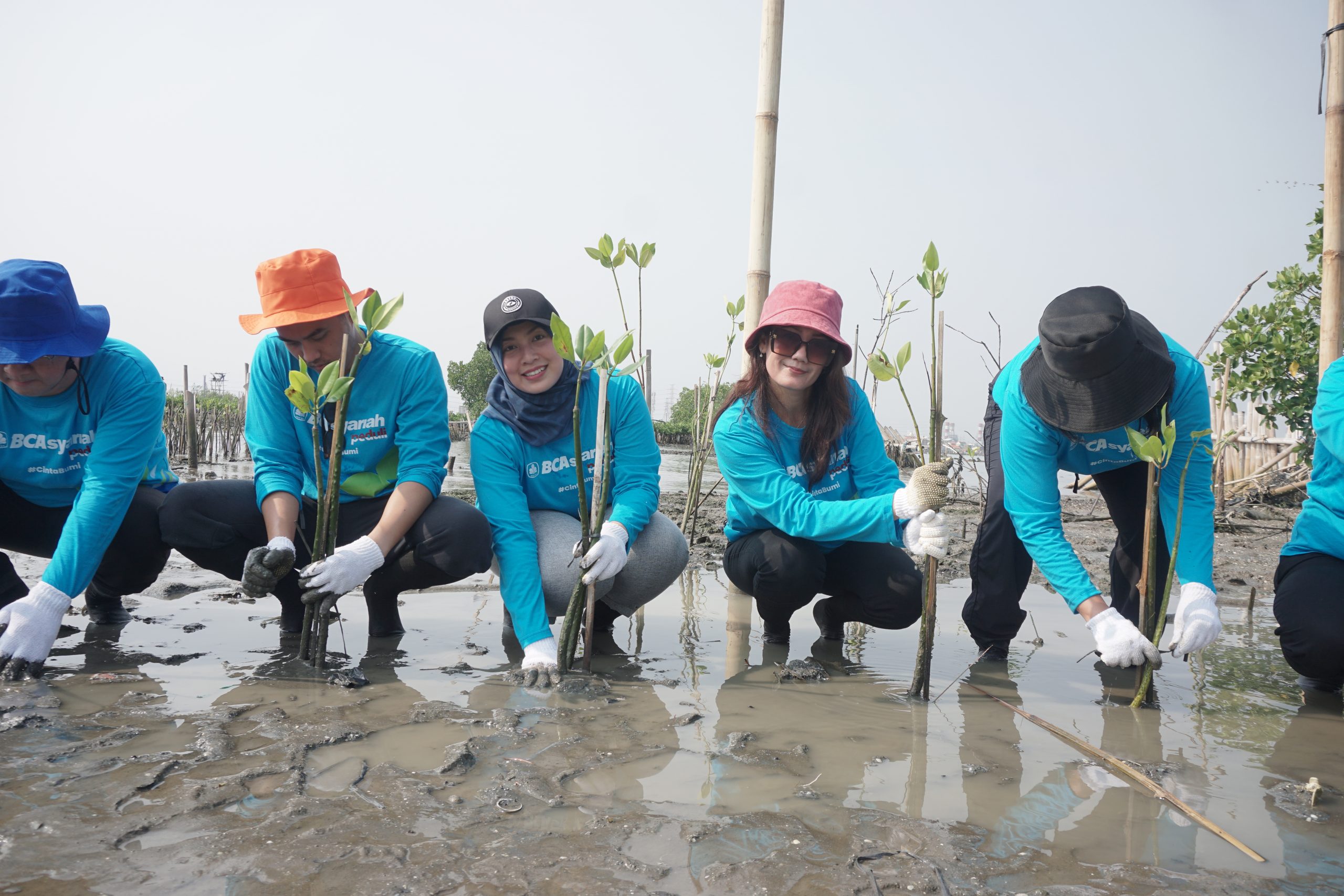 Aksi penanaman mangrove PT Bank BCA Syariah di Pesisir Tambakrejo. (Dokumentasi: LindungiHutan).