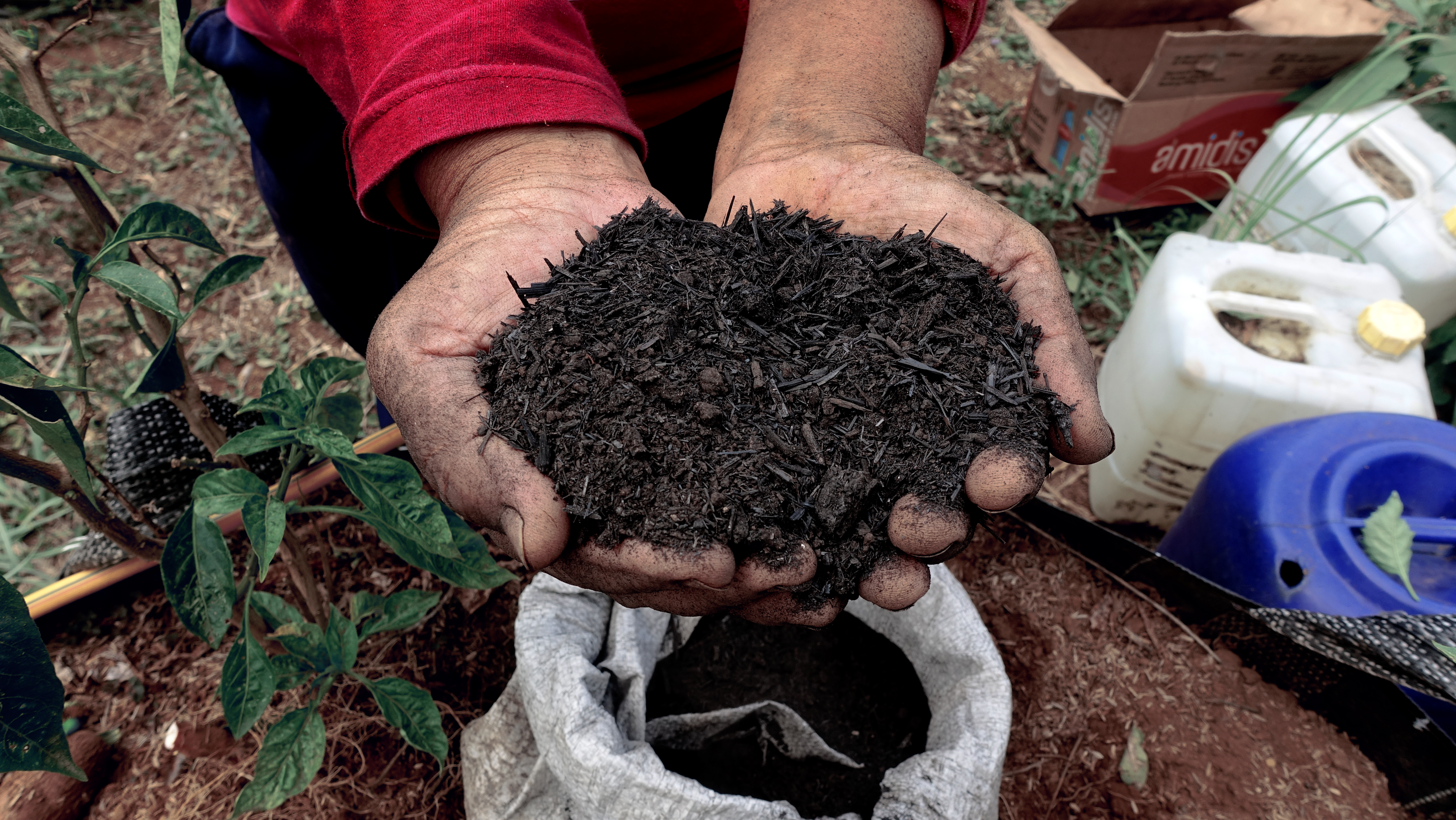 Biochar